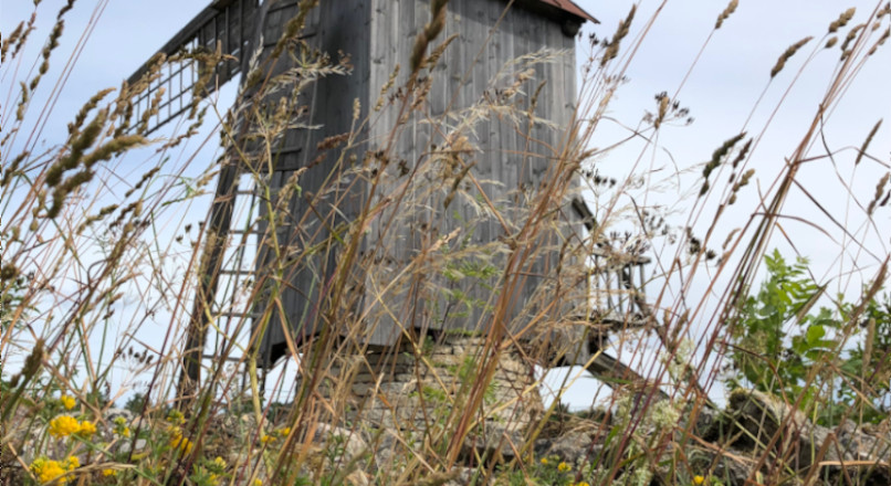 Bockwindmühle auf der Insel Saremaa/Estland