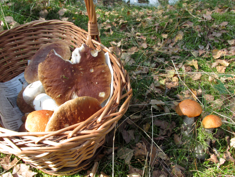 ein bisschen suchen und schon...